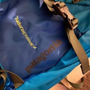 Patagonia Atom Sling Backpack
